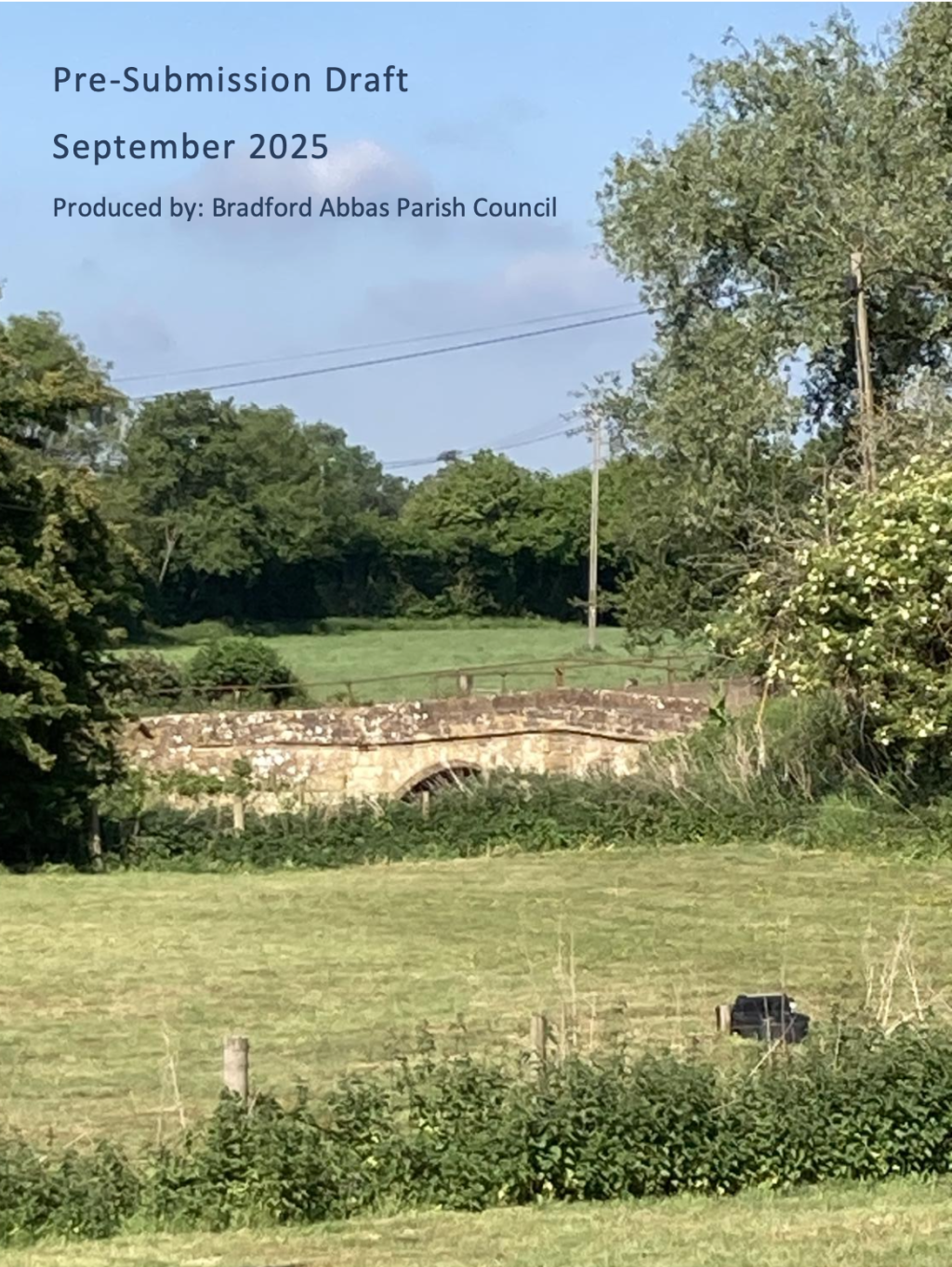 Image from first page of NP